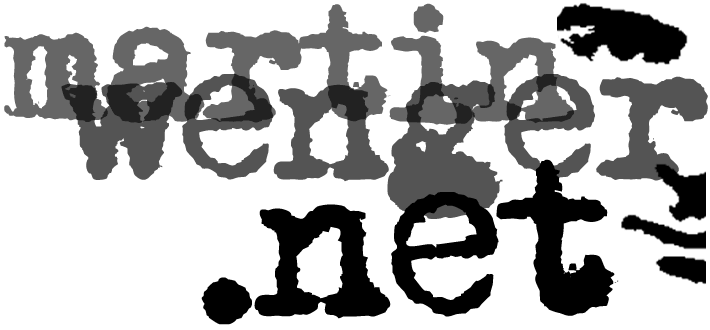 martin wenger net